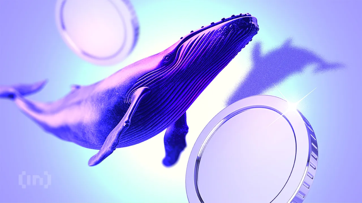 3 Altcoins Crypto Whales Are Buying Before October Rate Cuts BROCCOLI Whales