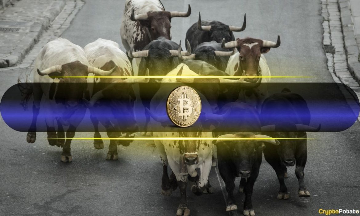 Analysts Confident Bull Market Will Continue Despite Extreme Fear Analysts Confident Bull Market Will Continue Despite Extreme Fear