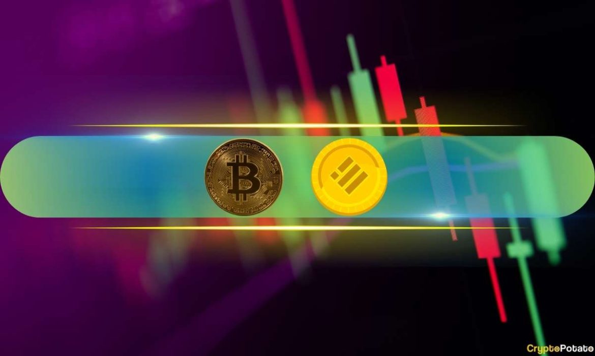 BNB Hits New ATH Just Days After Market Meltdown, BTC BNB Hits New ATH Just Days After Market Meltdown, BTC Eyes $116K: Market Watch