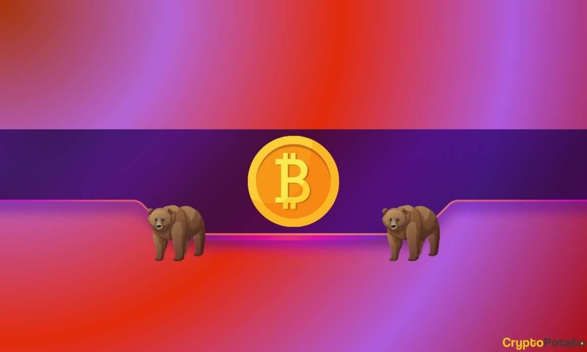 Bitcoin (BTC) Slides 13%: Is This the Ultimate ‘Buy the Bitcoin (BTC) Slides 13%: Is This the Ultimate ‘Buy the Dip’ Zone?