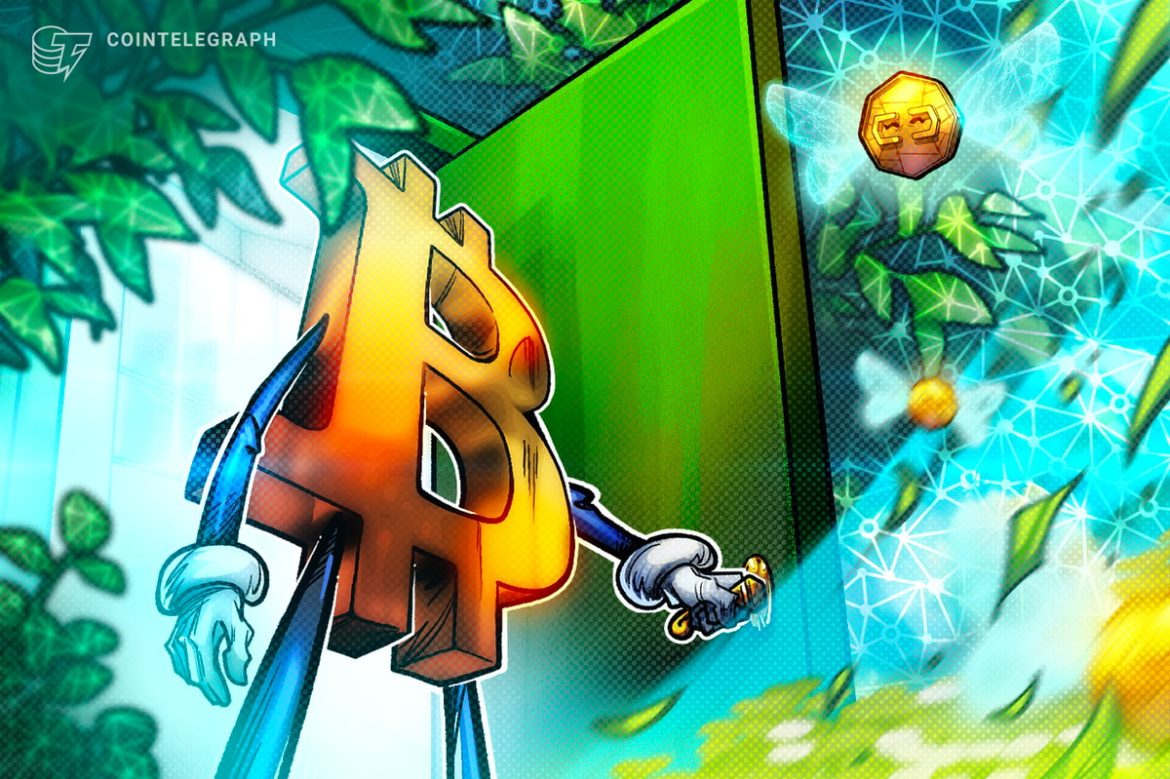 Bitcoin Short-Term Holders Struggle to Stay in Profit Despite ‘Euphoria’ Bitcoin Short-Term Holders Struggle to Stay in Profit Despite ‘Euphoria’