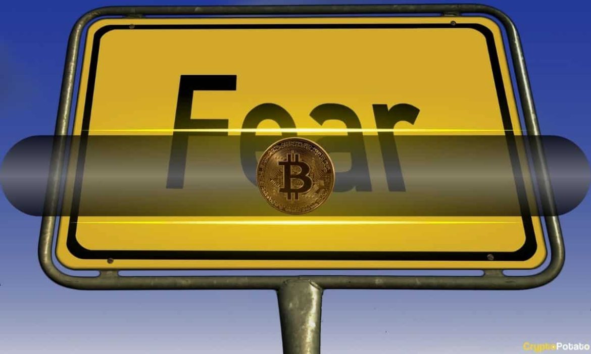 Crypto Market Shows Pain and Potential After Massive Liquidation Event: Crypto Market Shows Pain and Potential After Massive Liquidation Event: Bitfinex Alpha