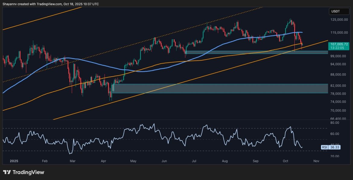 First Bearish Signs Appear as BTC Falls by $20K From First Bearish Signs Appear as BTC Falls by $20K From ATH