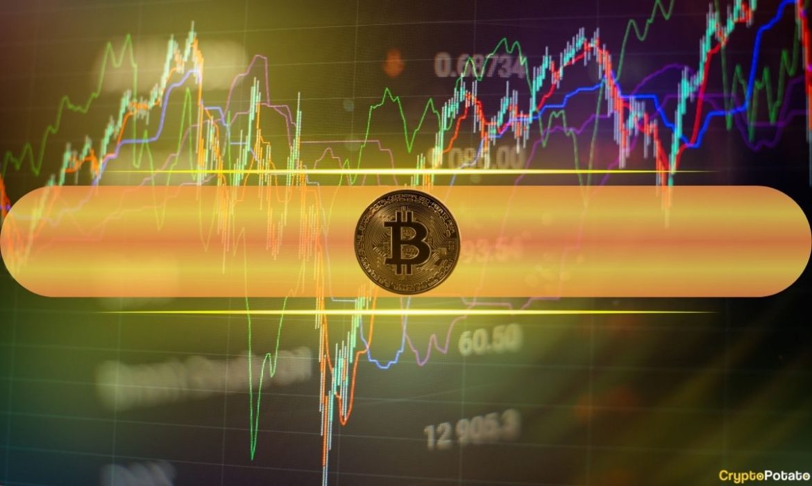 How Is the Options Market Reacting to Bitcoin’s Continued Decline? How Is the Options Market Reacting to Bitcoin’s Continued Decline? (Glassnode)