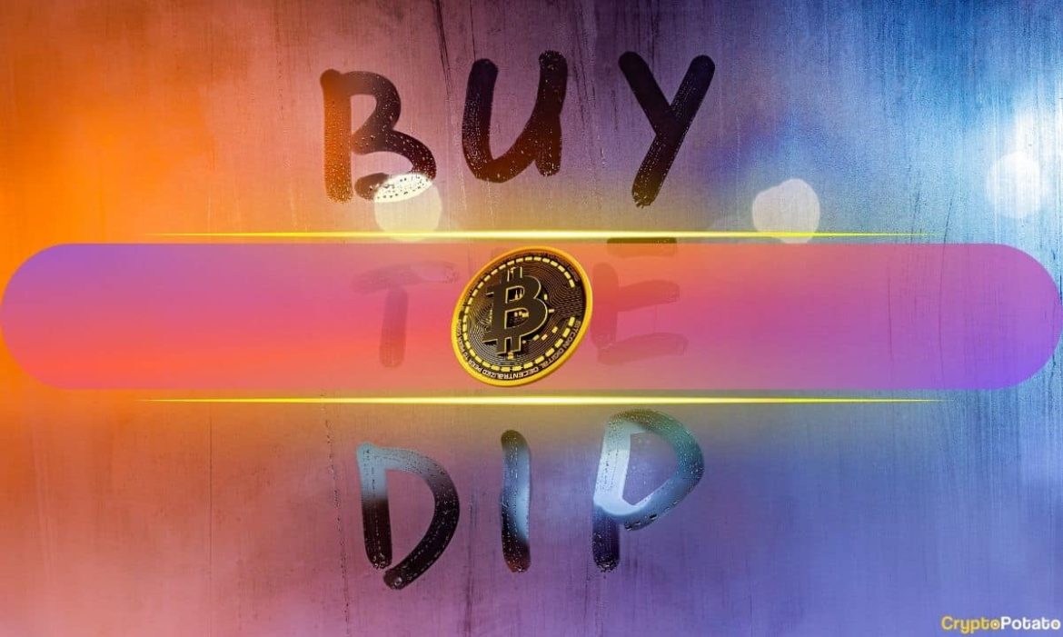 Retail Fear Signals Buying Opportunity After Crypto Crash, Say Analysts Retail Fear Signals Buying Opportunity After Crypto Crash, Say Analysts