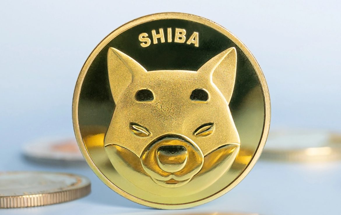 Shiba Inu price forecast: bulls eye breakout after deep accumulation Shiba Inu forecast as bulls eye breakout after deep accumulation
