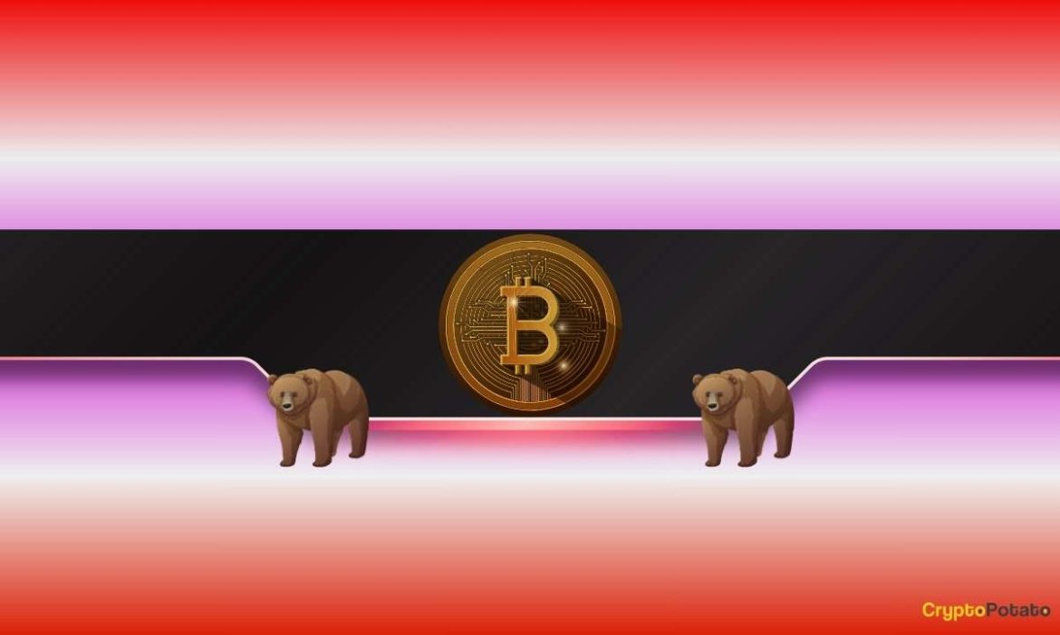 Why Peter Brandt Expects Bitcoin (BTC) to Fall Why Peter Brandt Expects Bitcoin (BTC) to Fall